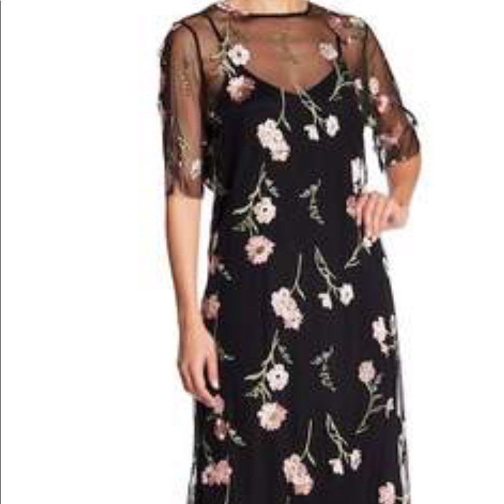 NWOT Sheer Tulle dress